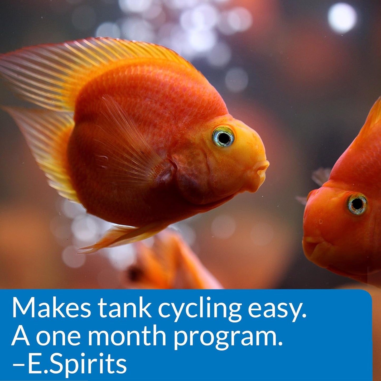 Api Aquarium Start Up Pack with Stress Coat and Quick Start Water Conditioner for Aquariums