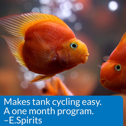 Api Aquarium Start Up Pack with Stress Coat and Quick Start Water Conditioner for Aquariums