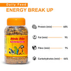 SF+ Natural Seeds Birds Bite | 1KG | Bird Food for All Birds Like Love Birds, Cockteils, Finches, Conures, Parrots, Macaws, Senegals, Parrots