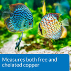 API Copper Test Kit - 90-Test Aquarium Water Analysis