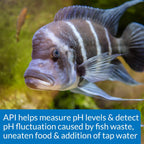 Aquarium Pharmaceuticals, Api, Mars Fishcare Api High Range Ph Test Kit for Aquariums