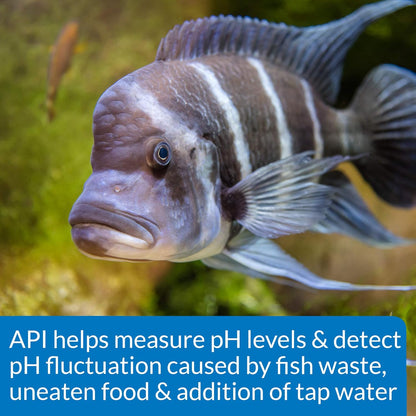 Aquarium Pharmaceuticals, Api, Mars Fishcare Api High Range Ph Test Kit for Aquariums