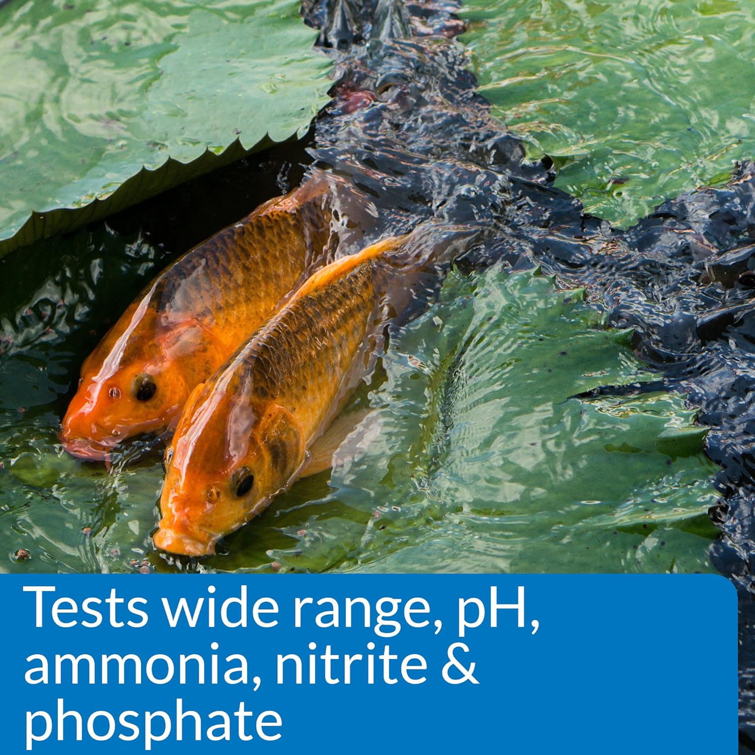PondCare Master Liquid Test Kit