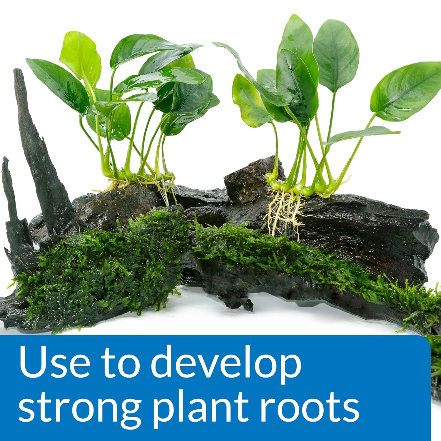 API Root TABS Freshwater Aquarium Plant Fertilizer 0.4-Ounce 10-Count Box,Tablets