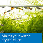 API ACCU-Clear Freshwater Aquarium Water Clarifier, 150 gram