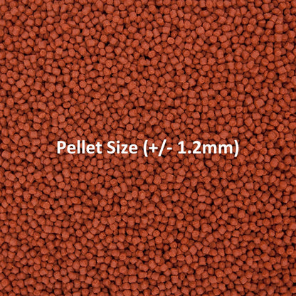 Ocean Nutrition Formula One Marine Pellets | 200gms | Small Size