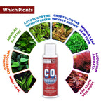 Sunken Garden CO2 Booster 100ml Liquid CO2 Boost | Plant-Safe Liquid Carbon Supplement | Enhances Growth, Color & Nutrient Absorption | No Nitrates or Phosphates