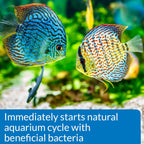 API Quick Start Freshwater and Saltwater Aquarium Nitrifying Bacteria 4-Ounce Bottle