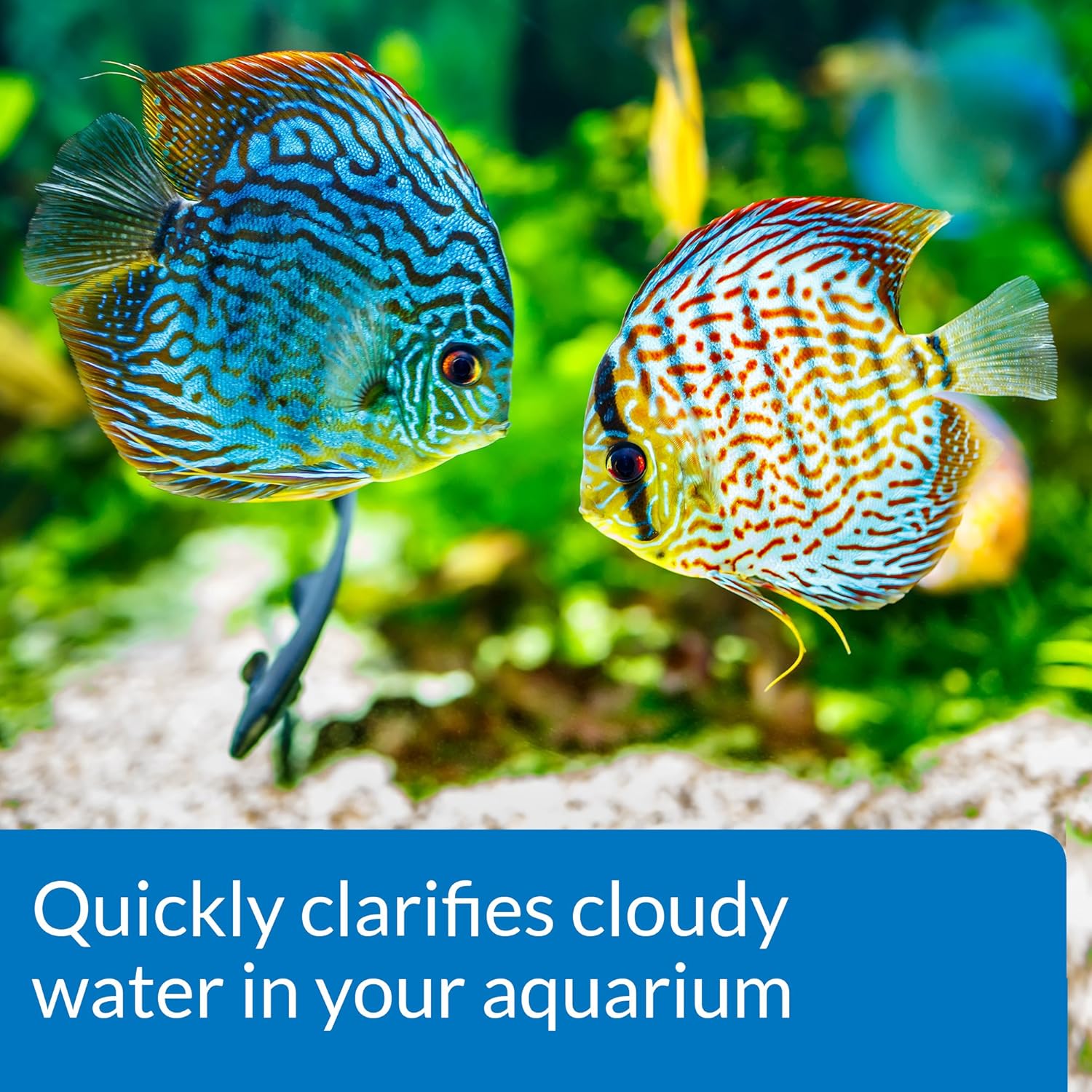 API ACCU-Clear Freshwater Aquarium Water Clarifier, 150 gram