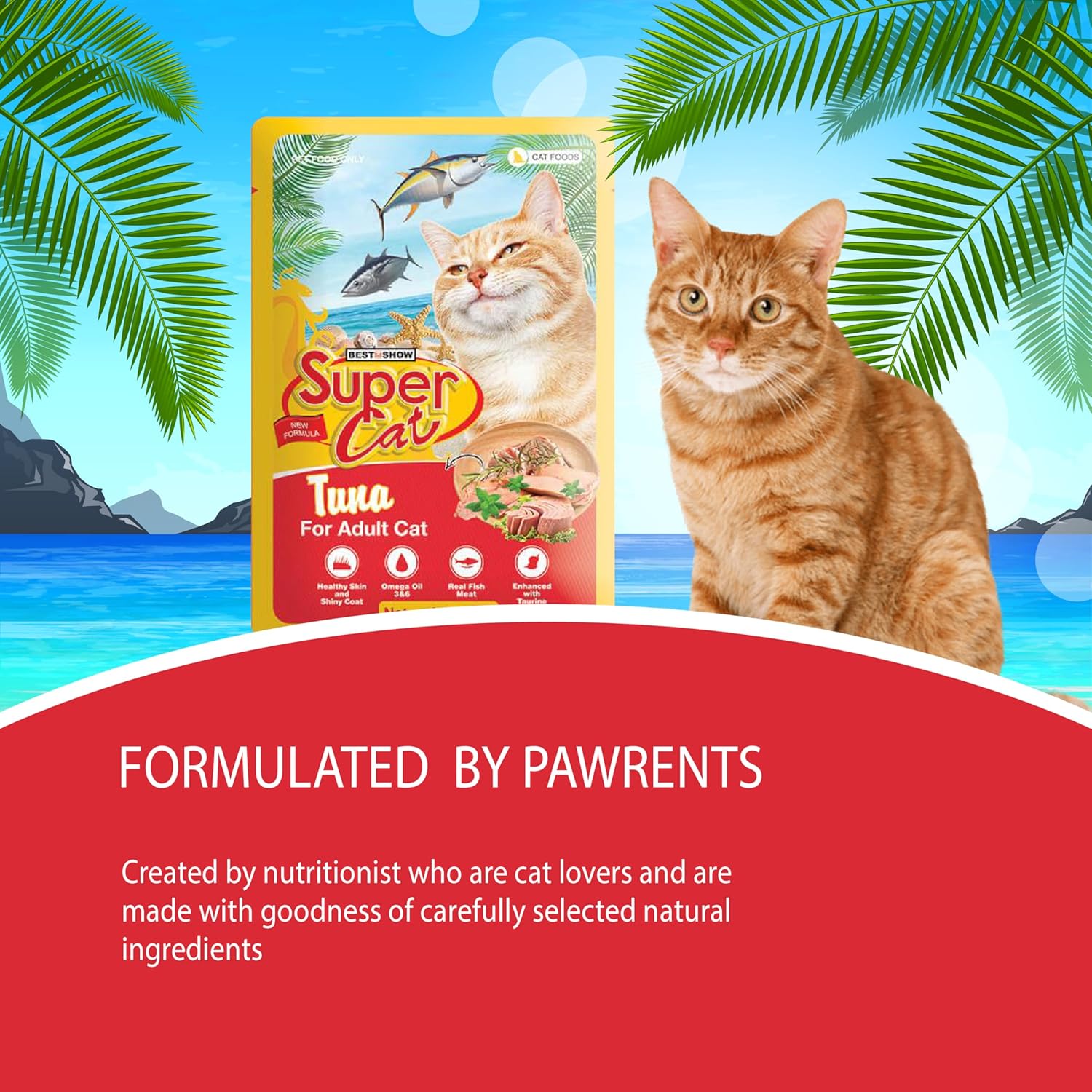 TUNAI SUPERCAT Tuna Special Wet Gravy Daily Diet Food for Adult CAT (Pack of 12X80g) with The Goodness of Protein & Fat Rich Tuna and Taurine, Supports Healthy Skin Coat and Boost Instant Energy