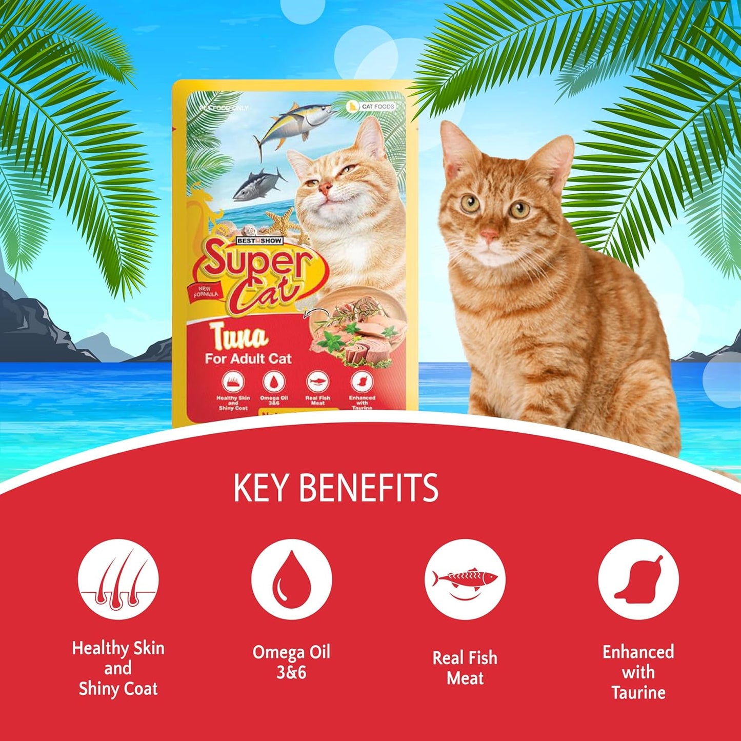 TUNAI SUPERCAT Tuna Special Wet Gravy Daily Diet Food for Adult CAT (Pack of 12X80g) with The Goodness of Protein & Fat Rich Tuna and Taurine, Supports Healthy Skin Coat and Boost Instant Energy