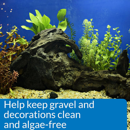 API Stress Zyme, 16 OZ / 473.18 mL