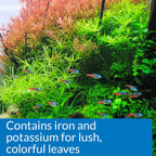 API Aquarium Pharmaceuticals Leaf Zone Liquid Plant Fertilizer, 8 oz