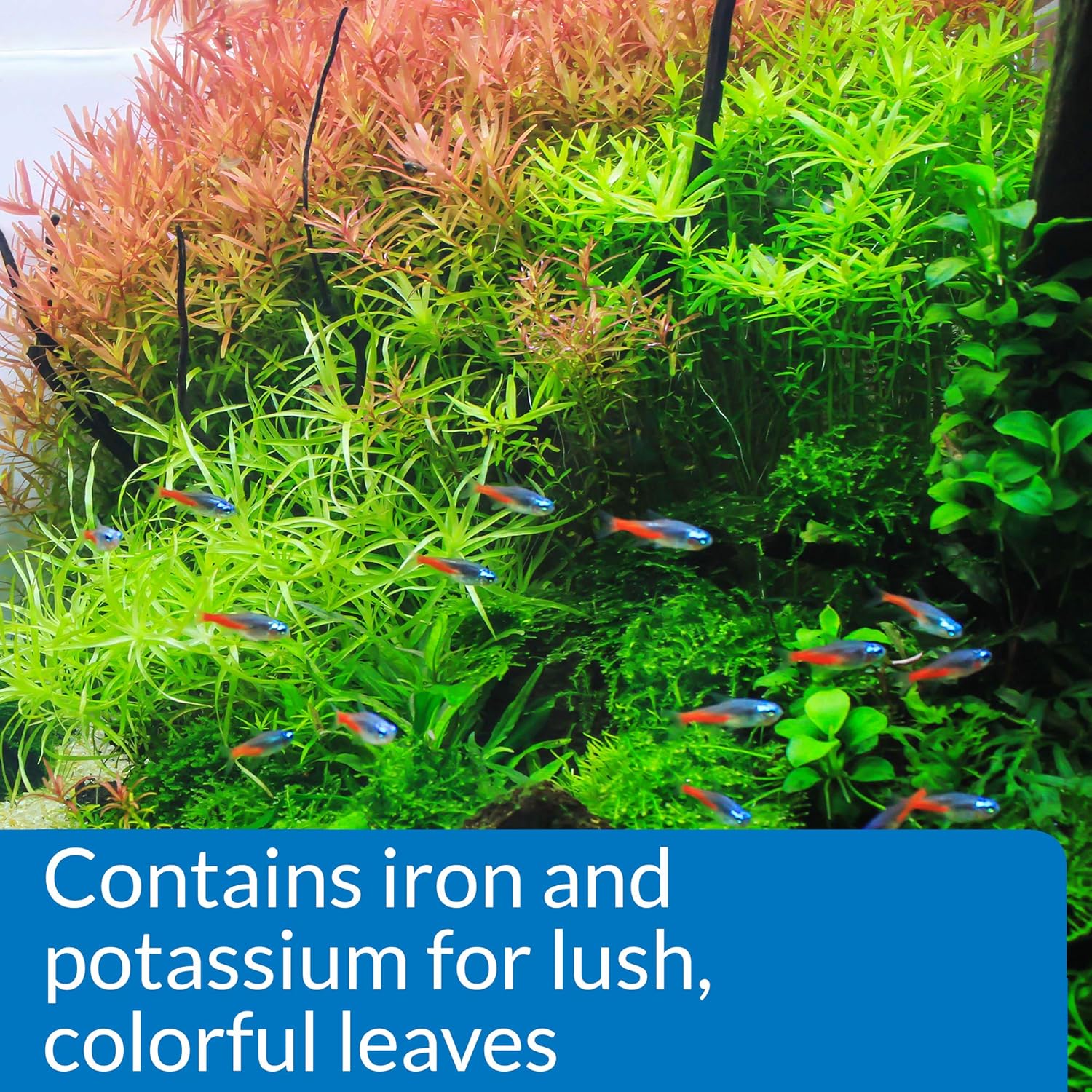 API Aquarium Pharmaceuticals Leaf Zone Liquid Plant Fertilizer, 8 oz