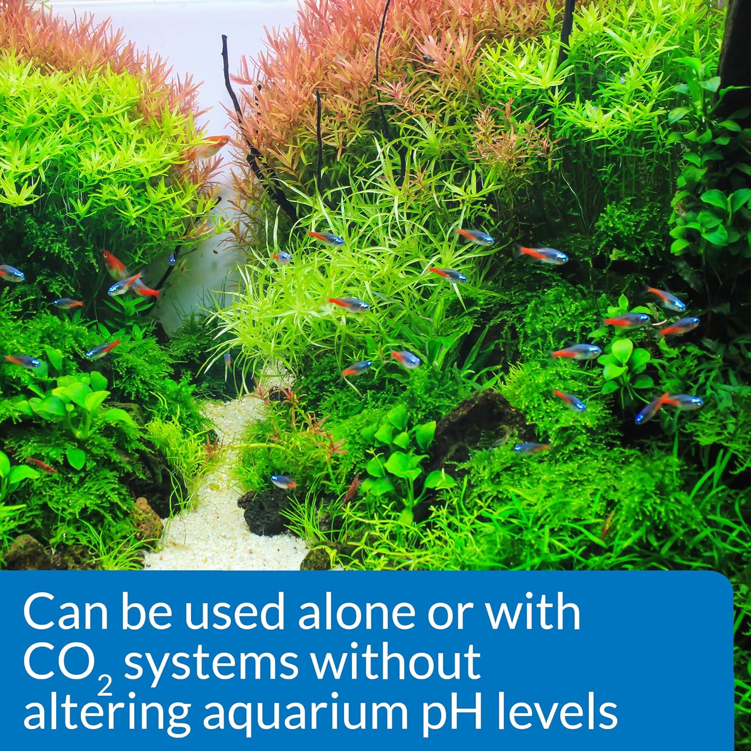 API 579C CO2 Booster, 237 ml