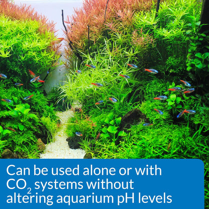 API CO2 Booster, 450g