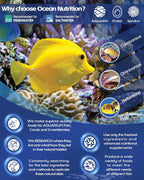OCEAN NUTRITION (SALT CREEK) Seaweed Select Green Marine Algae 10pc