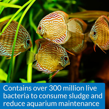 API Stress Zyme, 16 OZ / 473.18 mL