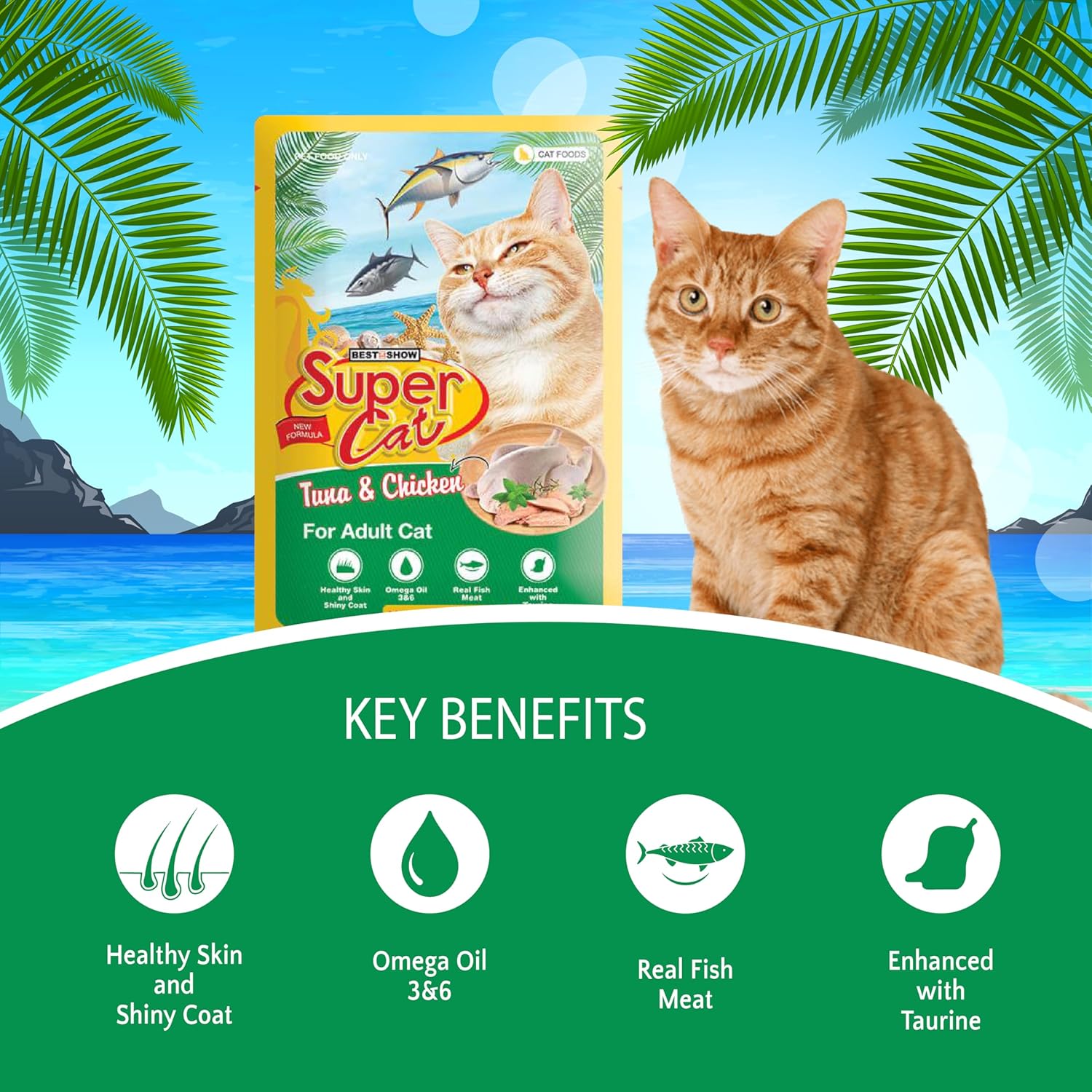 TUNAI SUPERCAT Tuna & Chicken Wet Gravy Daily Diet Food for Adult CAT (Pack of 12X80g) with The Goodness of Protein & Fat Rich Tuna, Chicken & Taurine, Supports Healthy Skin Coat