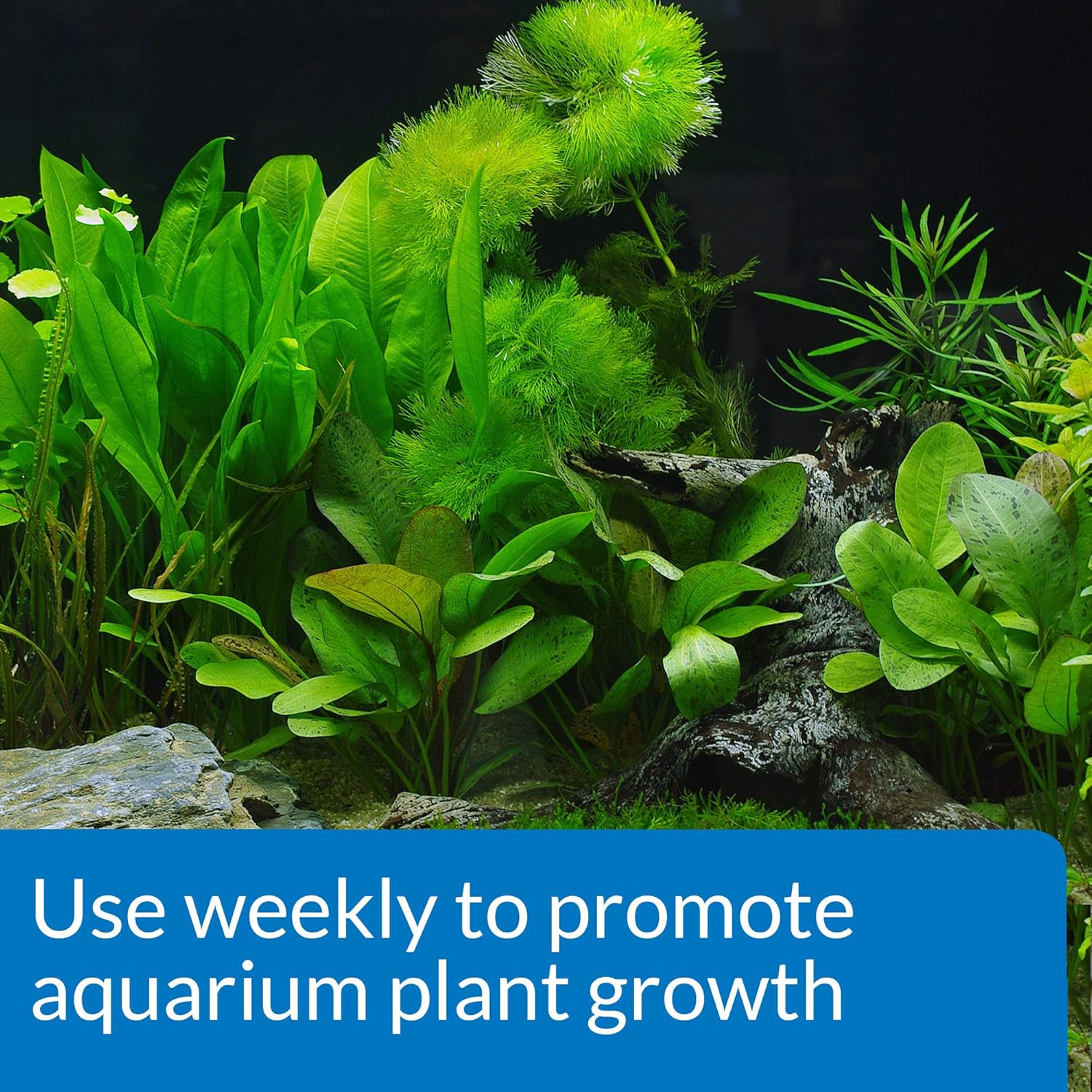 API Leaf Zone Aquarium Plant Food, 453 g