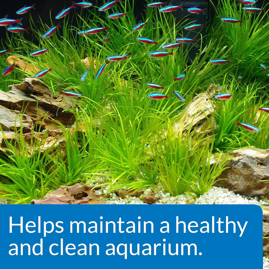 Api Aquarium Start Up Pack with Stress Coat and Quick Start Water Conditioner for Aquariums