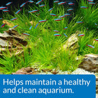 Api Aquarium Start Up Pack with Stress Coat and Quick Start Water Conditioner for Aquariums