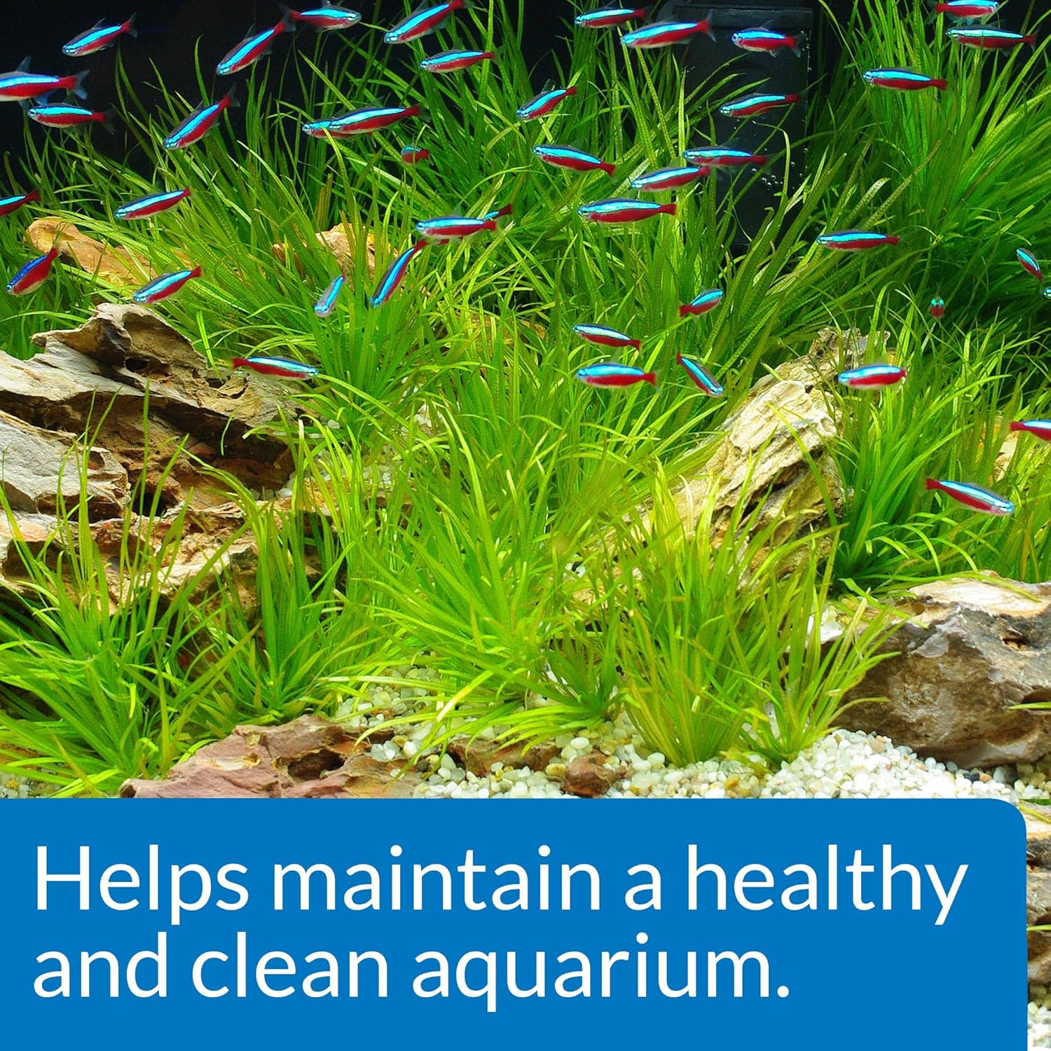 Api Aquarium Start Up Pack with Stress Coat and Quick Start Water Conditioner for Aquariums