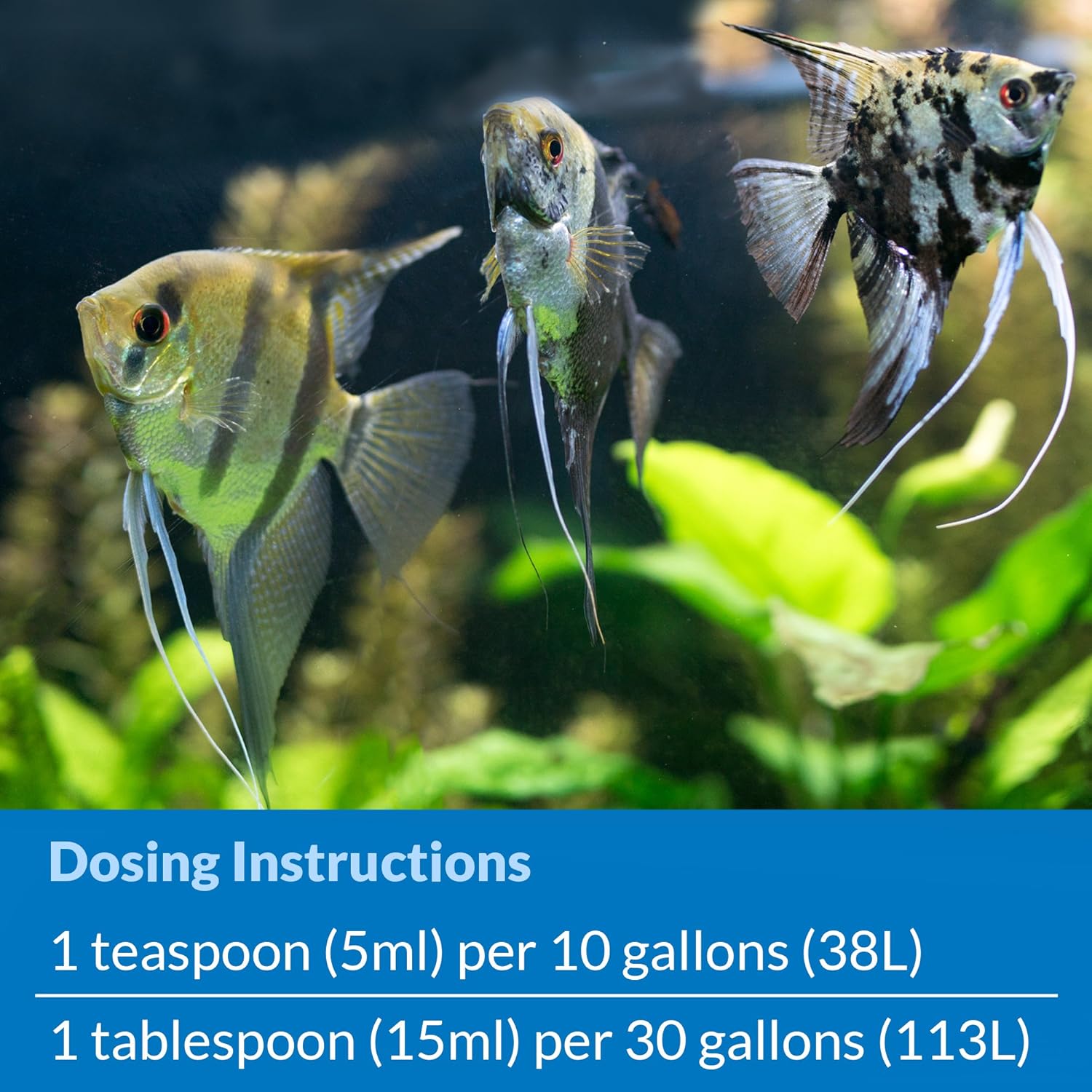 API Stress Zyme, 16 OZ / 473.18 mL