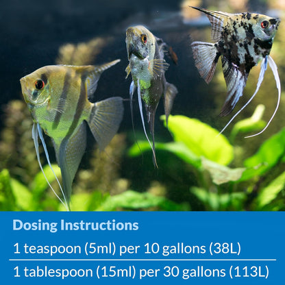 API Stress Zyme, 16 OZ / 473.18 mL