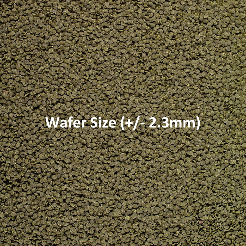 Ocean Nutrition Shrimp wafers 15 Gm,All Life Stages