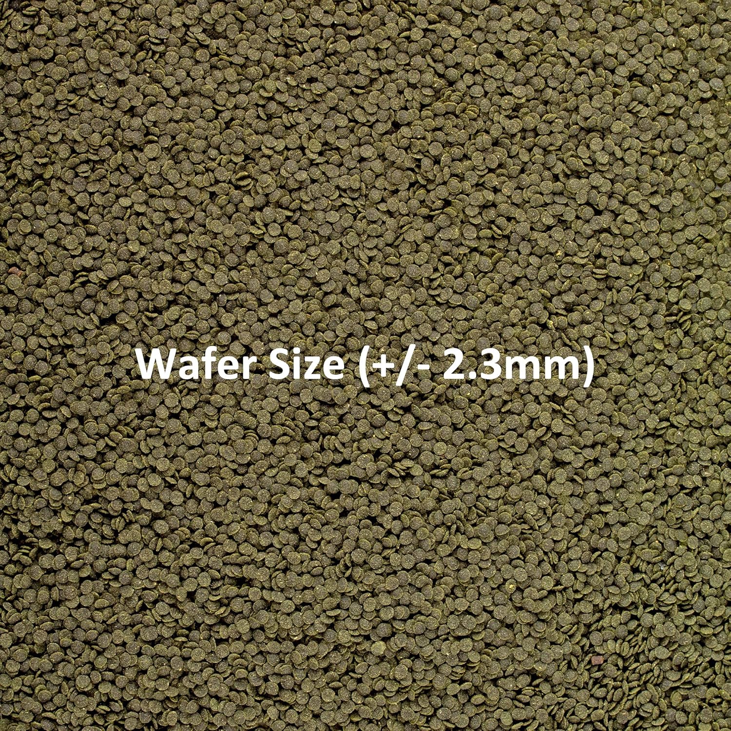 Ocean Nutrition Shrimp wafers 15 Gm,All Life Stages