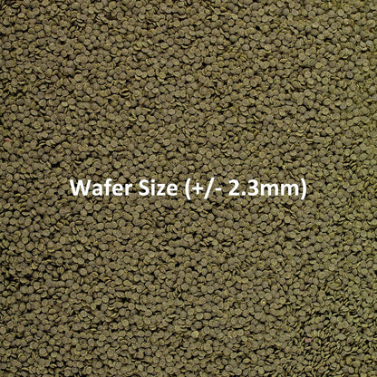 Ocean Nutrition Shrimp wafers 15 Gm,All Life Stages