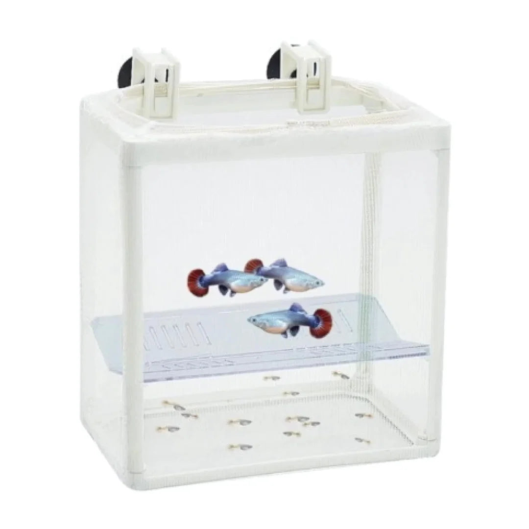 Dophin BB12 Breeding Box for Small Fish | Aquarium Isolation Box | Small Fish Aquarium Tank