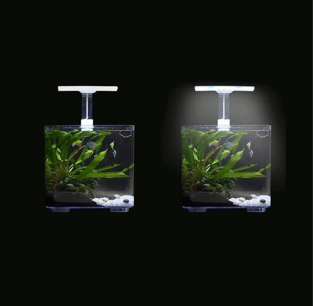 Dophin LED108 Slim LED Light for Aquarium Fish Tank | LED Light with Memory Function | 4-Way Touch Switch
