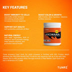 Tunai Adult Arowana Fish Food Sticks - 40% Protein - 2.5mm Pellets (A Perfect Diet Plan with Plant & Animal Matter)