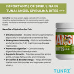 Tunai Angel Spirulina Bites Fish Food - 48% Protein Granules (Nutritious Diet for Angel Fish, Tetras, Discus & Other Tropical Fish)