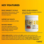 Tunai Angel Tetra Bites Fish Food - 48% Protein Granules (Ideal for Angelfish, Tetras & Discus)