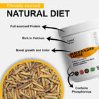 Tunai Black Soldier Fly Larvae (BSFL) Fish Food - 40% Protein (Premium Fish Food for Arowana, Flowerhorn, Oscar and Other Omnivores)