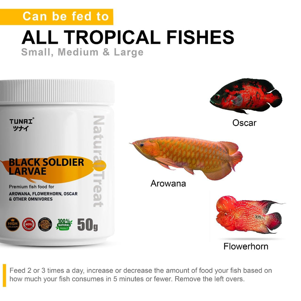 Tunai Black Soldier Fly Larvae (BSFL) Fish Food - 40% Protein (Premium Fish Food for Arowana, Flowerhorn, Oscar and Other Omnivores)
