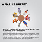 Tunai BRITAB Stick-On Glass Marine Fish Food - 42% Protein (Perfect for Marine Fishes)