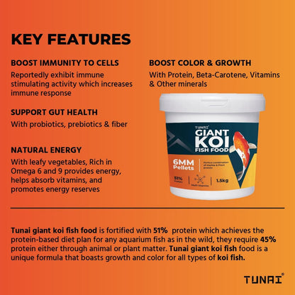 Tunai Koi Fish Food - 51% Protein - 6mm & 3mm Pellets (Suitable for All Large Size Adult Koi & Medium Koi Pond Fishes)
