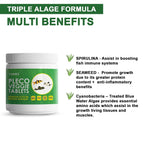 Tunai Pleco Veggie Tablets - 49% Protein - Sinking Tablet (Premium Bottom Feeder Banquet)